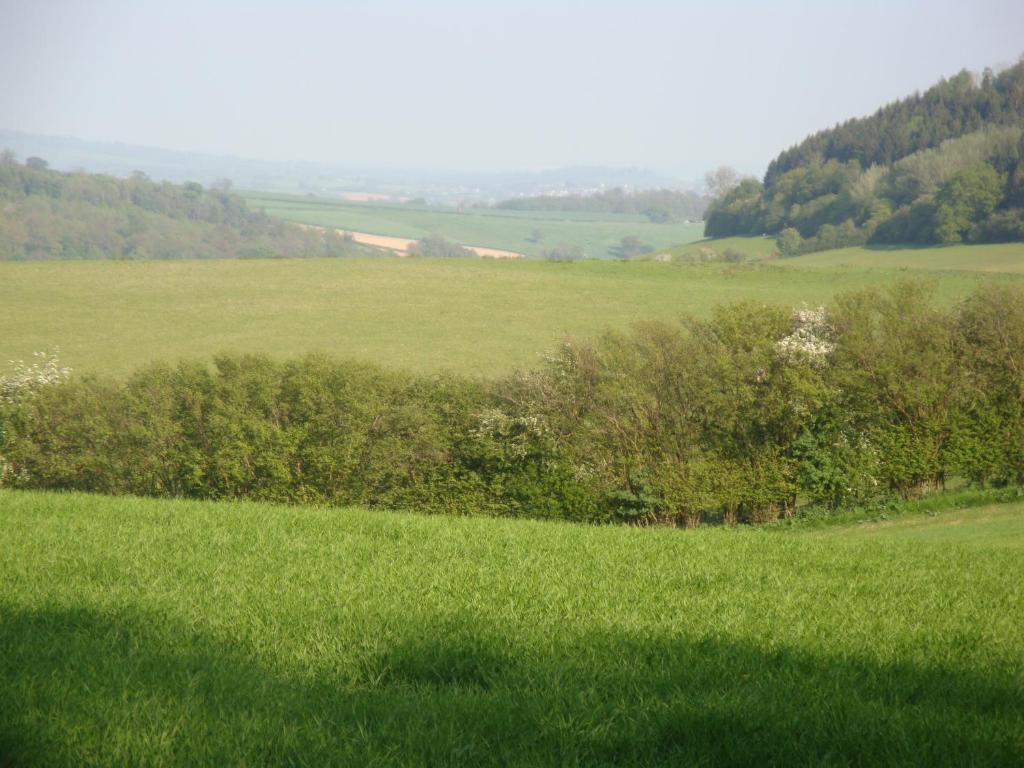 Stokesay Inn Крейвен-Армс Экстерьер фото